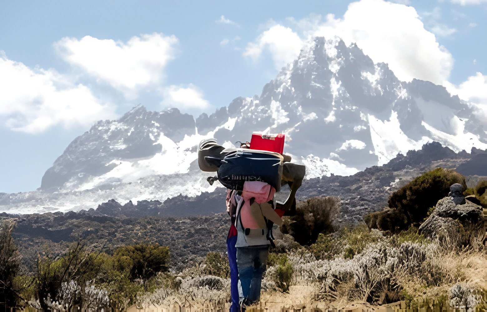 6 days Marangu Route Kilimanjaro climbing/trekking