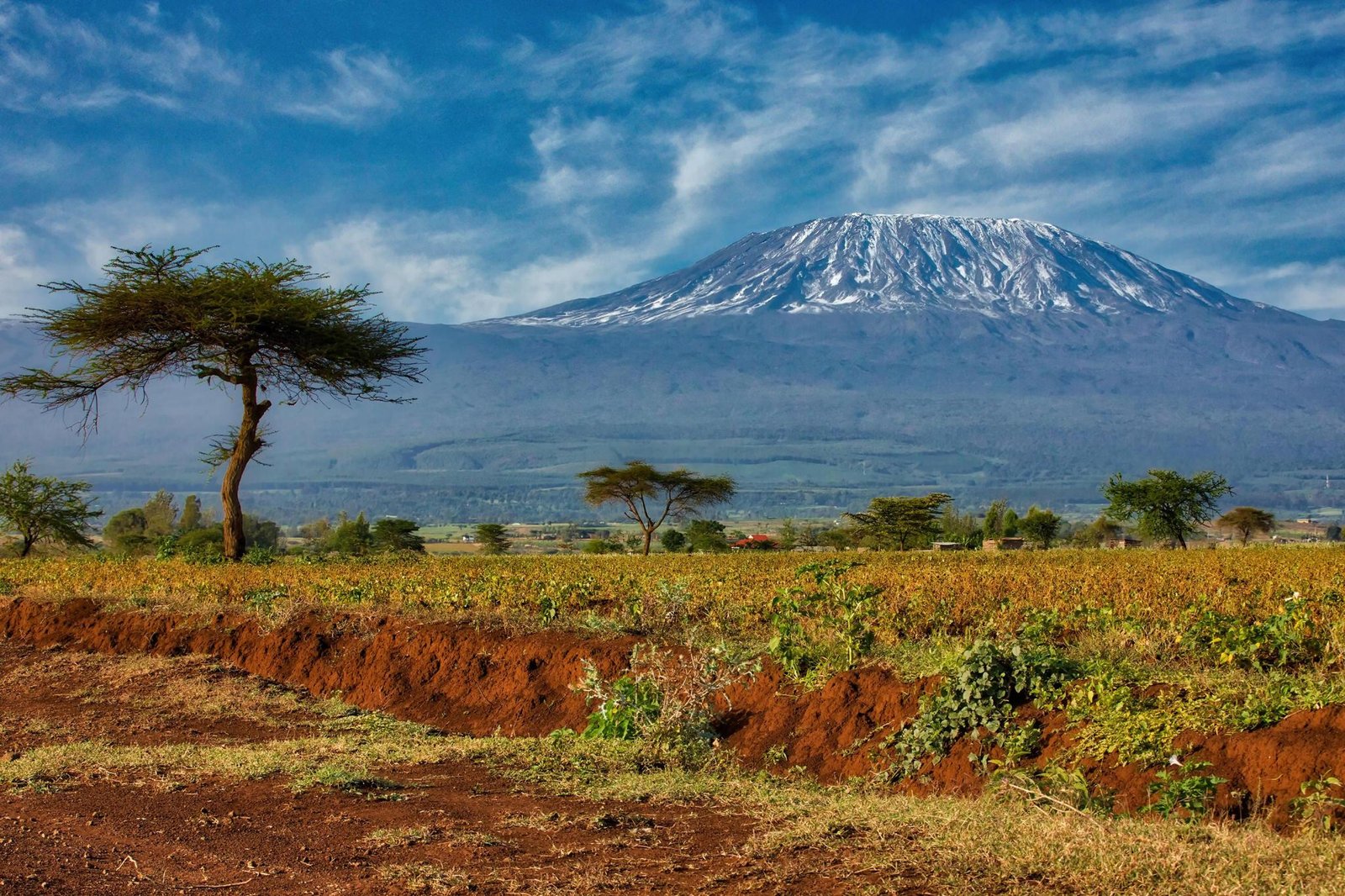 7 days Rongai Route Kilimanjaro climbing/trekking