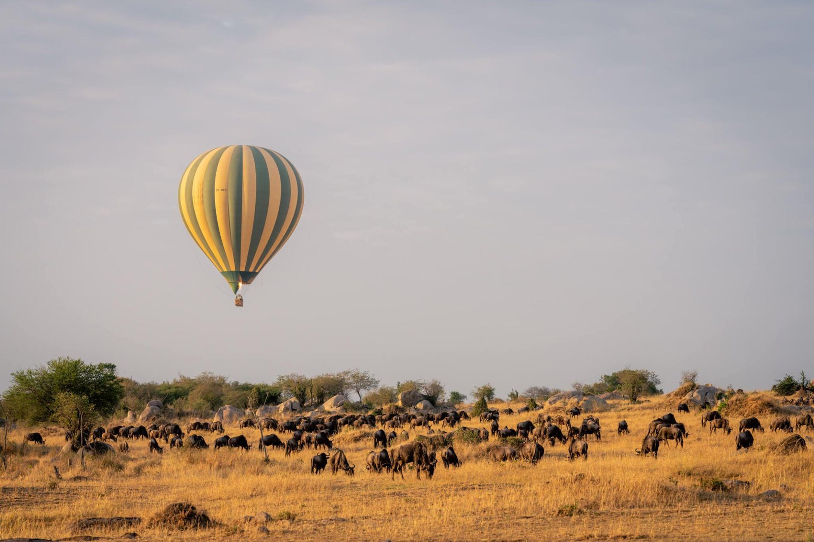 The greatest 9 days Serengeti Balloon safari