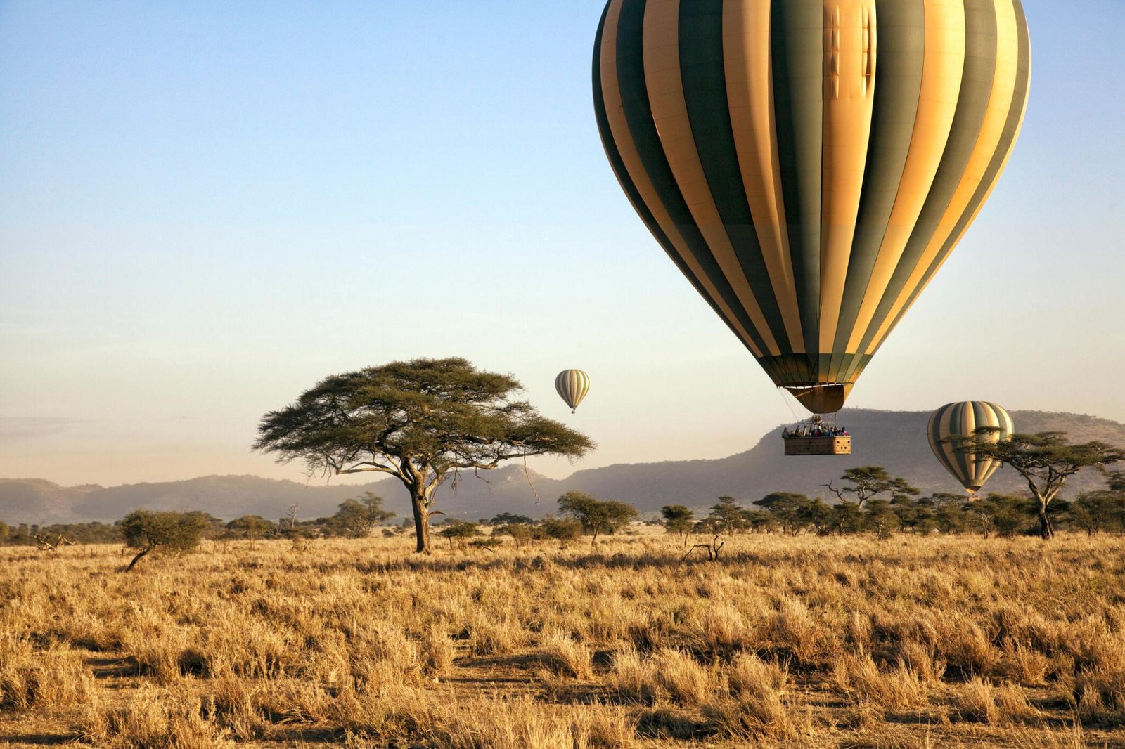 4 days Serengeti Balloon Safari