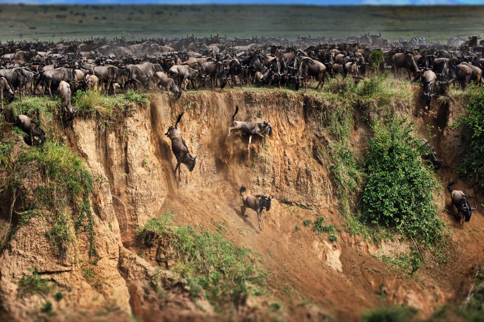 5-day Great Serengeti Migration Luxury Safari