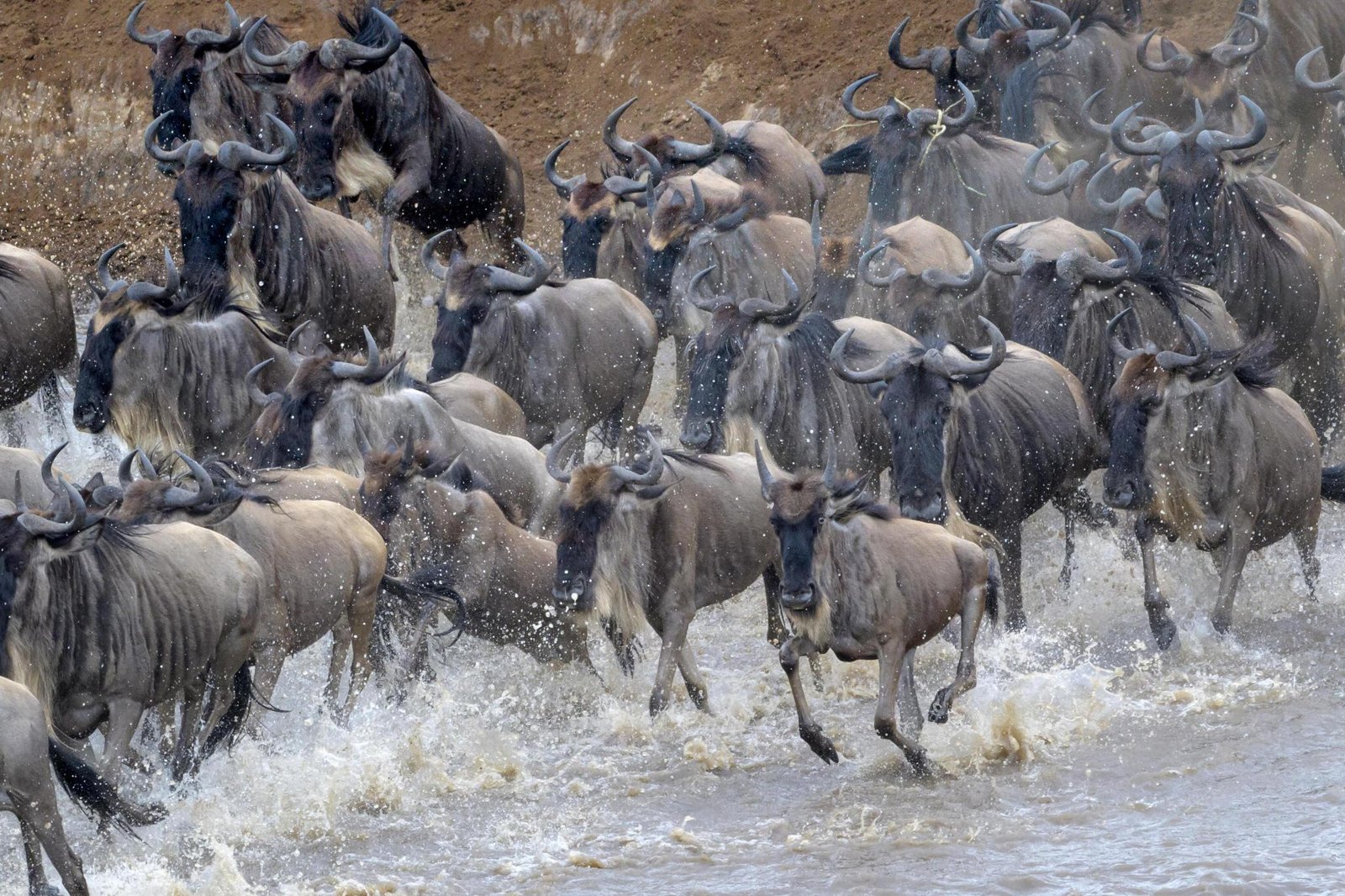 5-day Great Serengeti Migration Safari