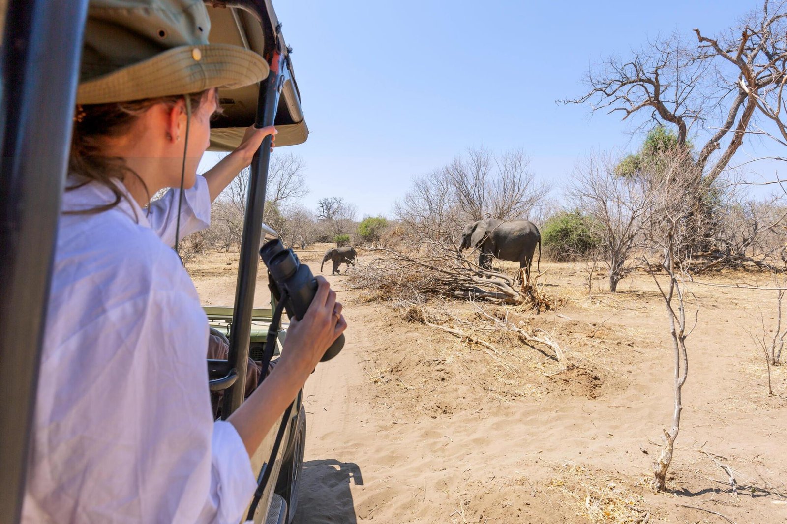 6 days Serengeti and Ngorongoro crater Tanzania safari