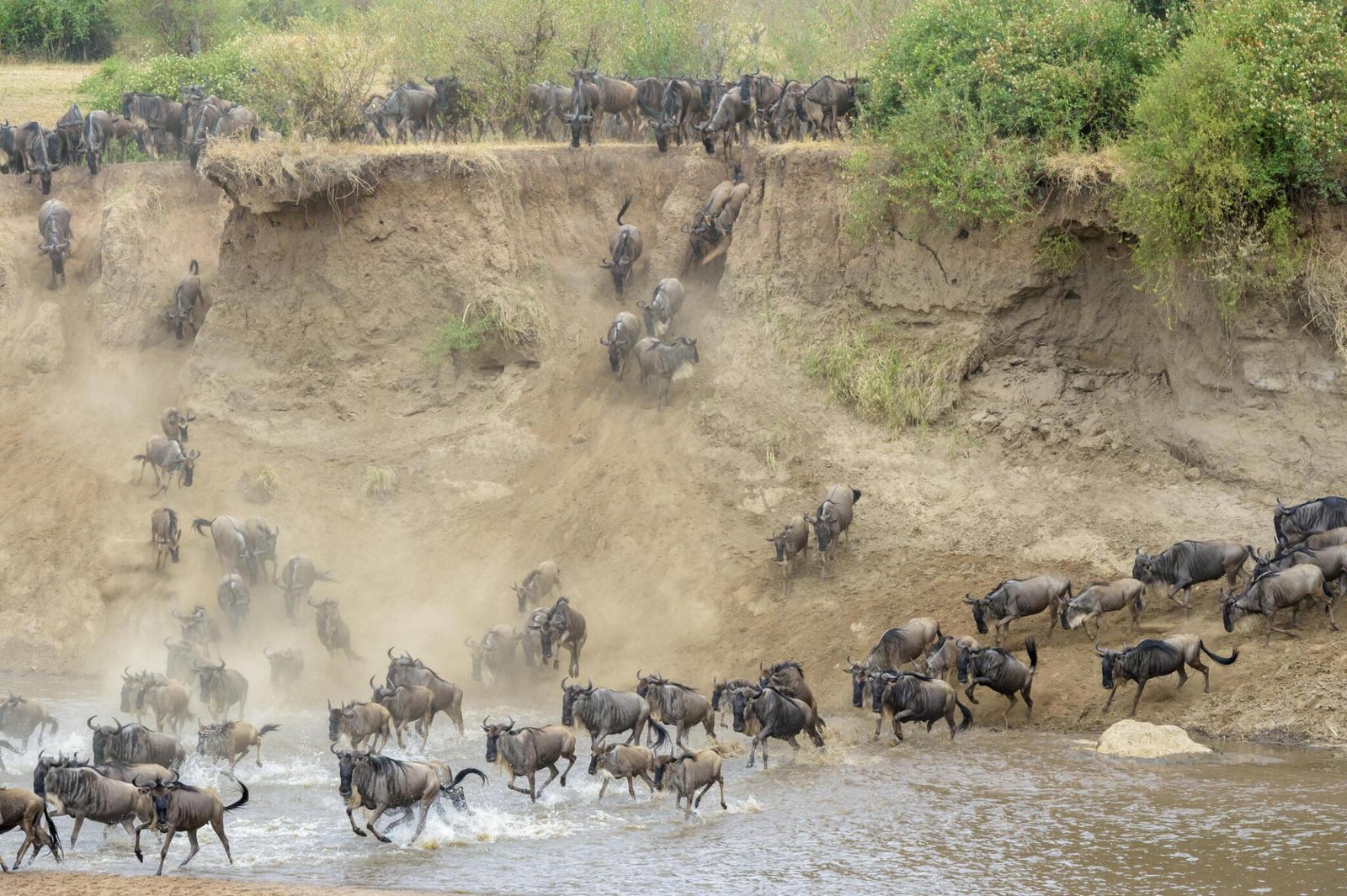 The 4-day Serengeti Greatest Migration Safari