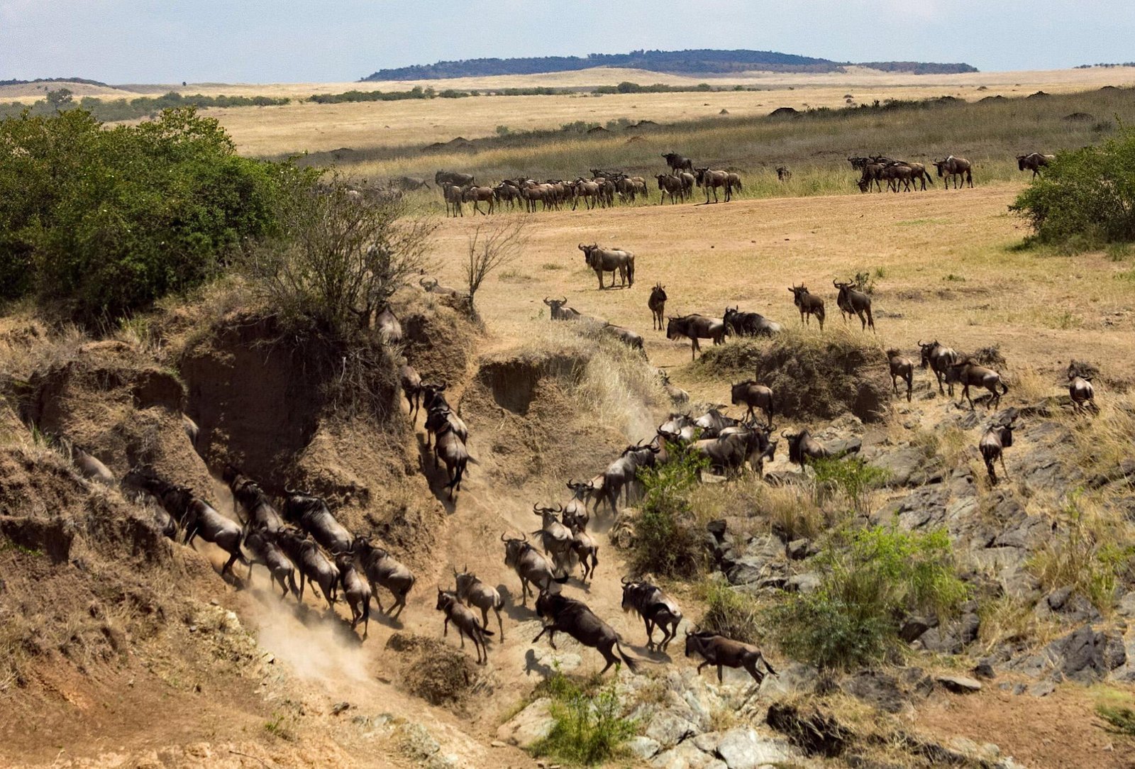 The 4-day Serengeti Private Migration Safari