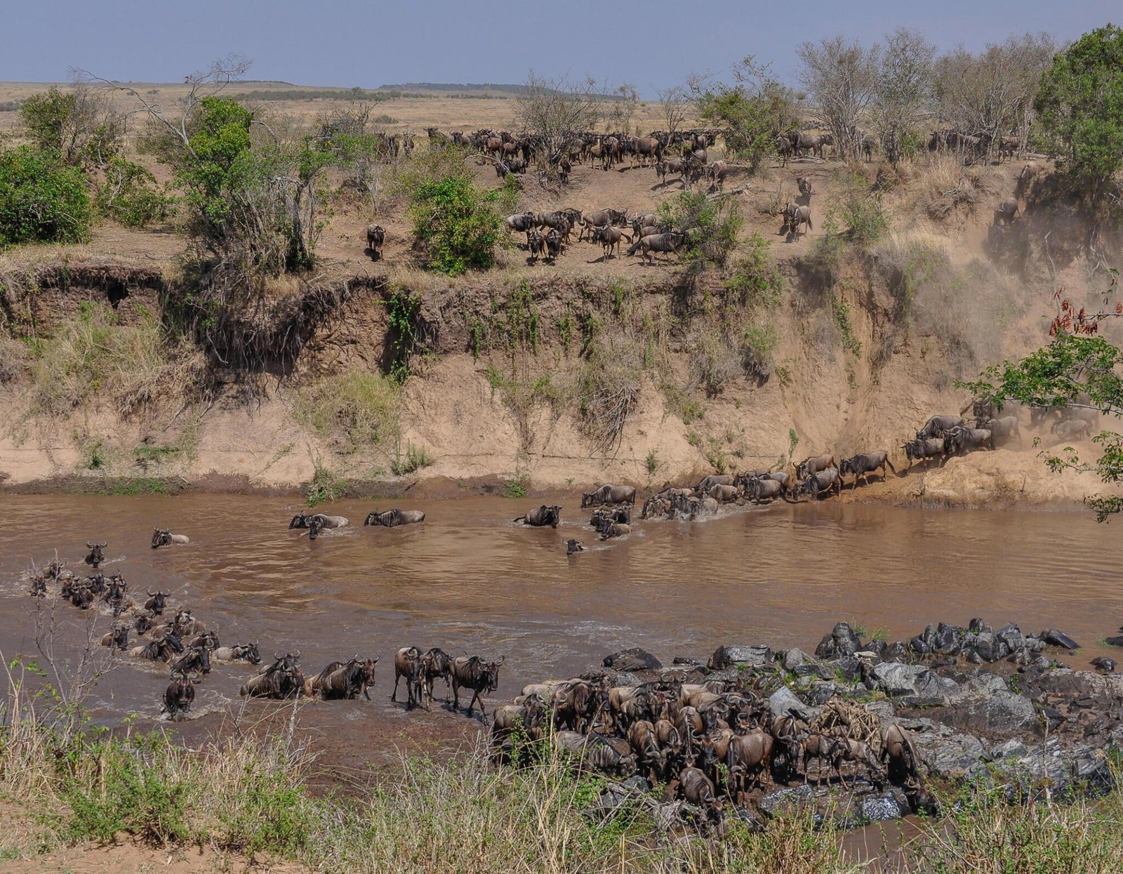 5-day Great Serengeti Migration Safari