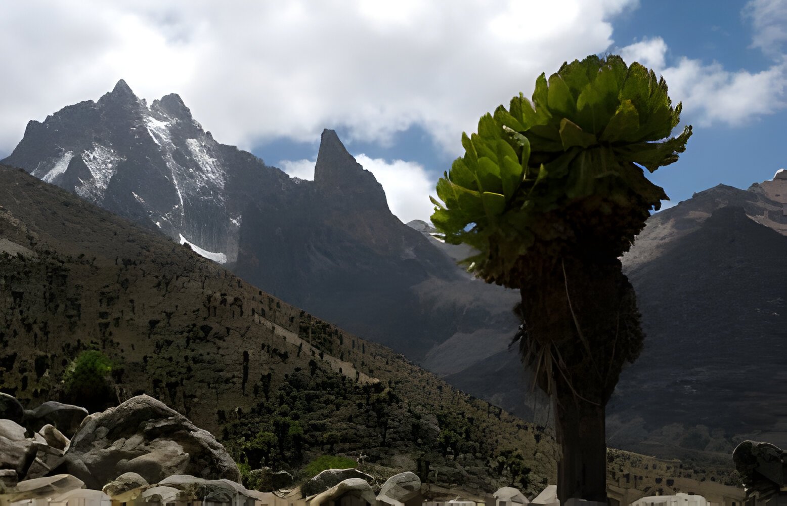 The best 5 Day Mid-Range Wildlife/Gorilla Trekking in 2025