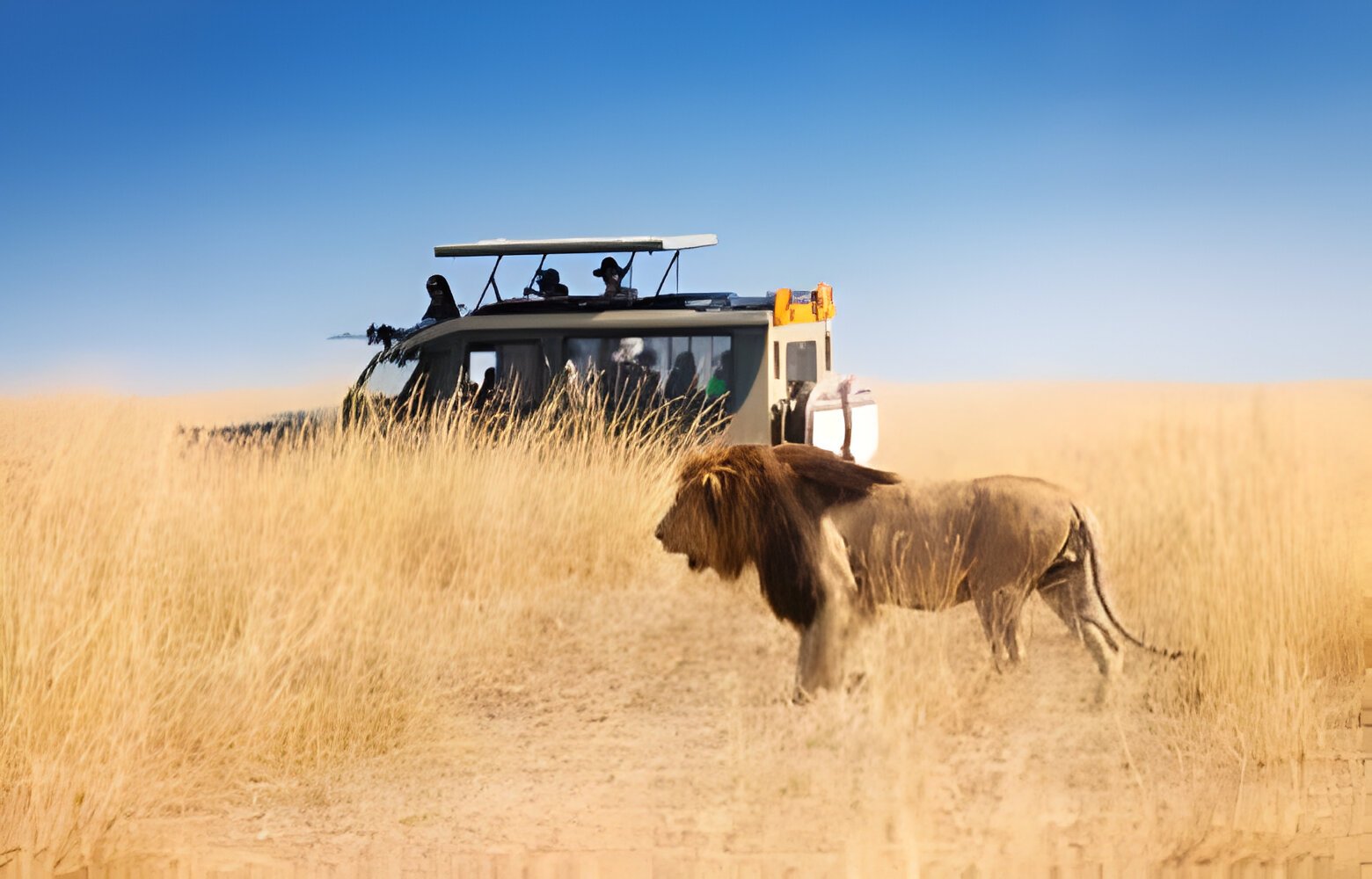 Tanzania safari package