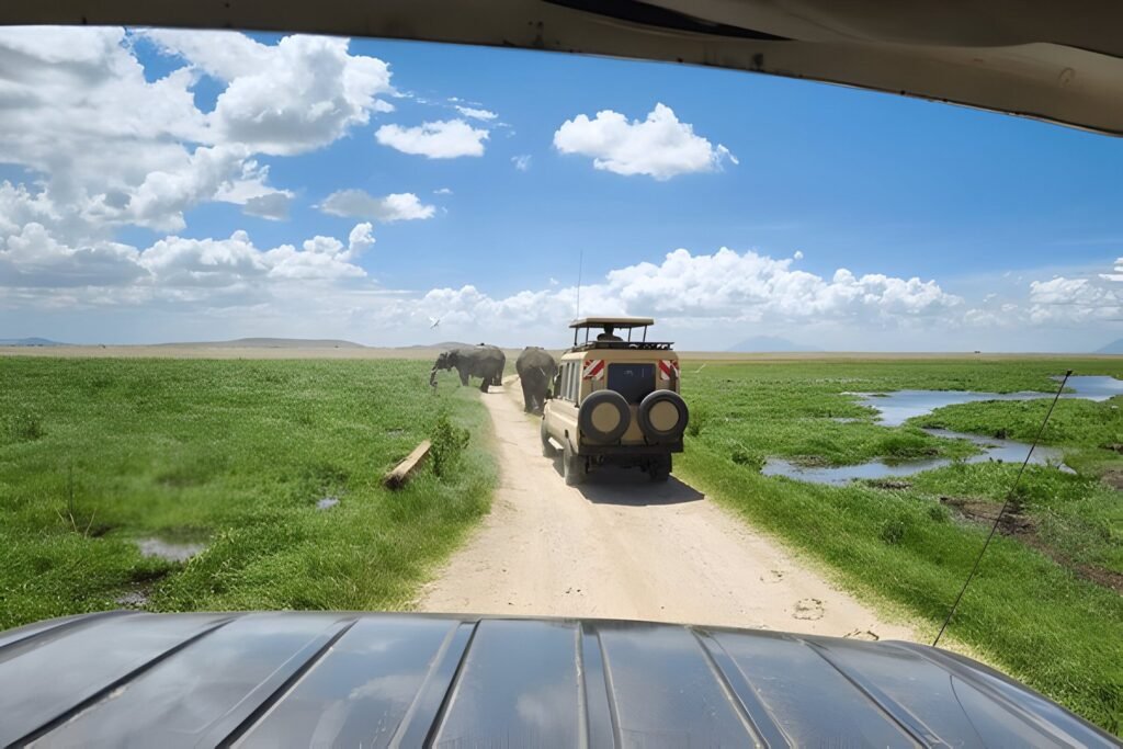 Ultimate Tanzania Safari Vehicles Explained 2025